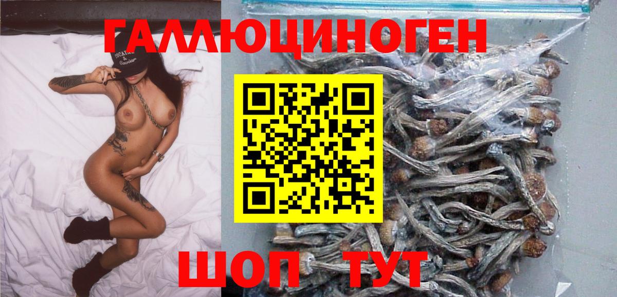где найти   Вход с VPN  Удомля  Галлюциногенные грибы Psilocybine cubensis 