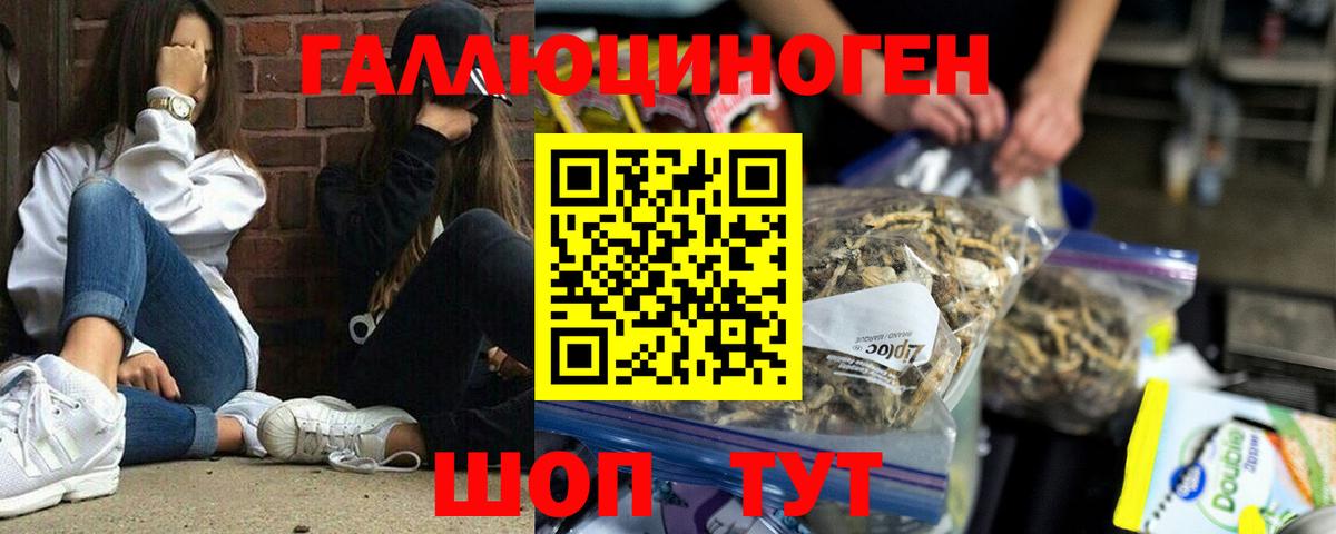 Галлюциногенные грибы MAGIC MUSHROOMS Удомля